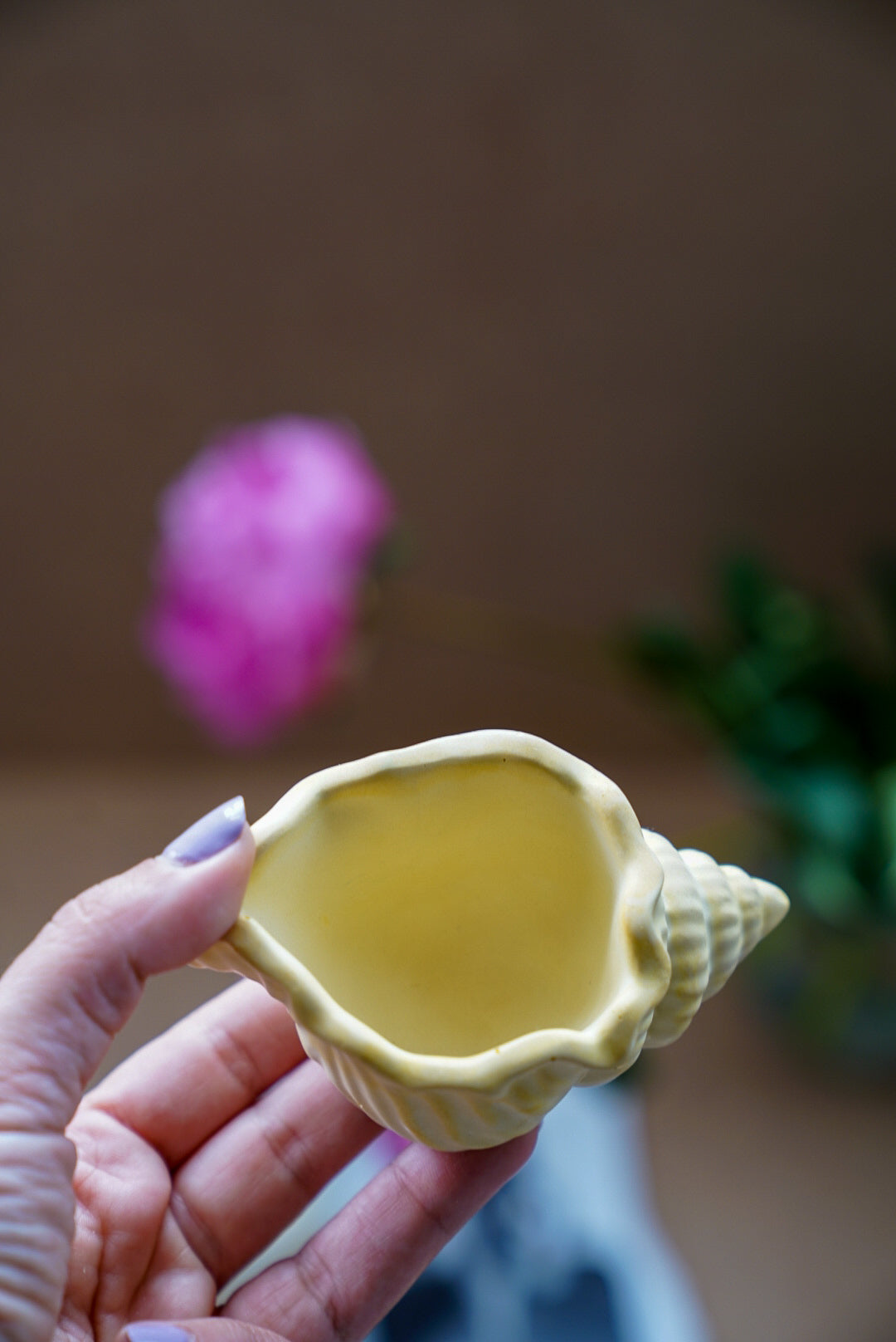 Shell Jewellery Holder