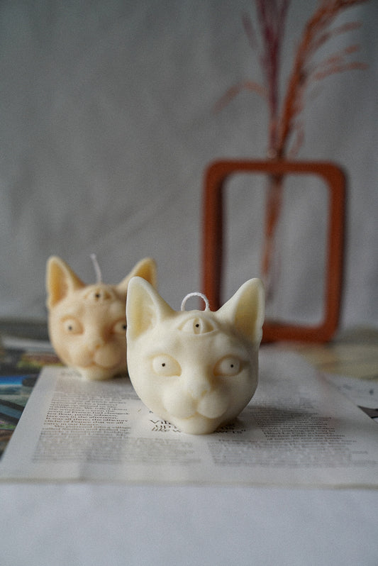 Evil Third Eye Cat Candles rectangular vase on the background.