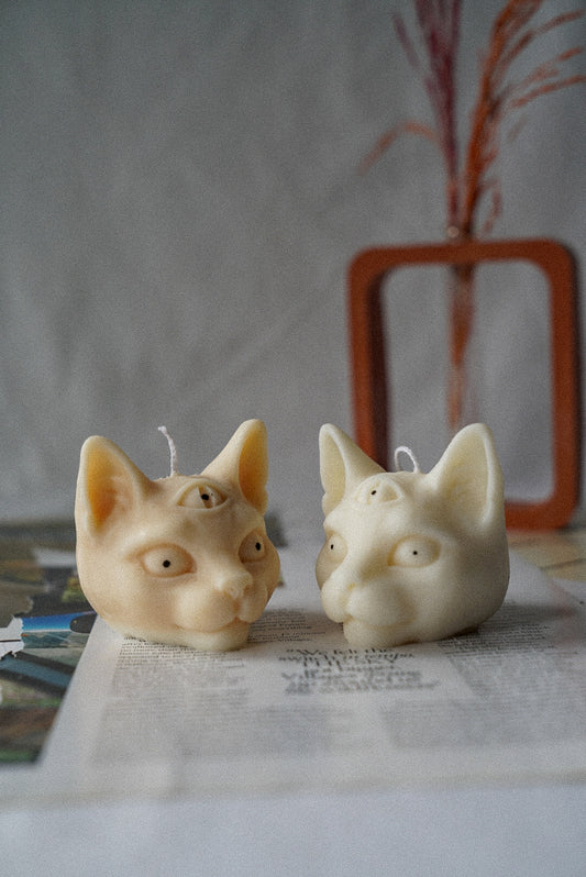 Two Evil Third Eye Cat Candles terracotta vase on the background.