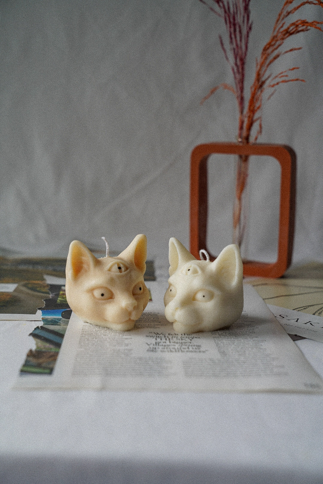 Two Evil Third Eye Cat Candles terracotta vase on the background.
