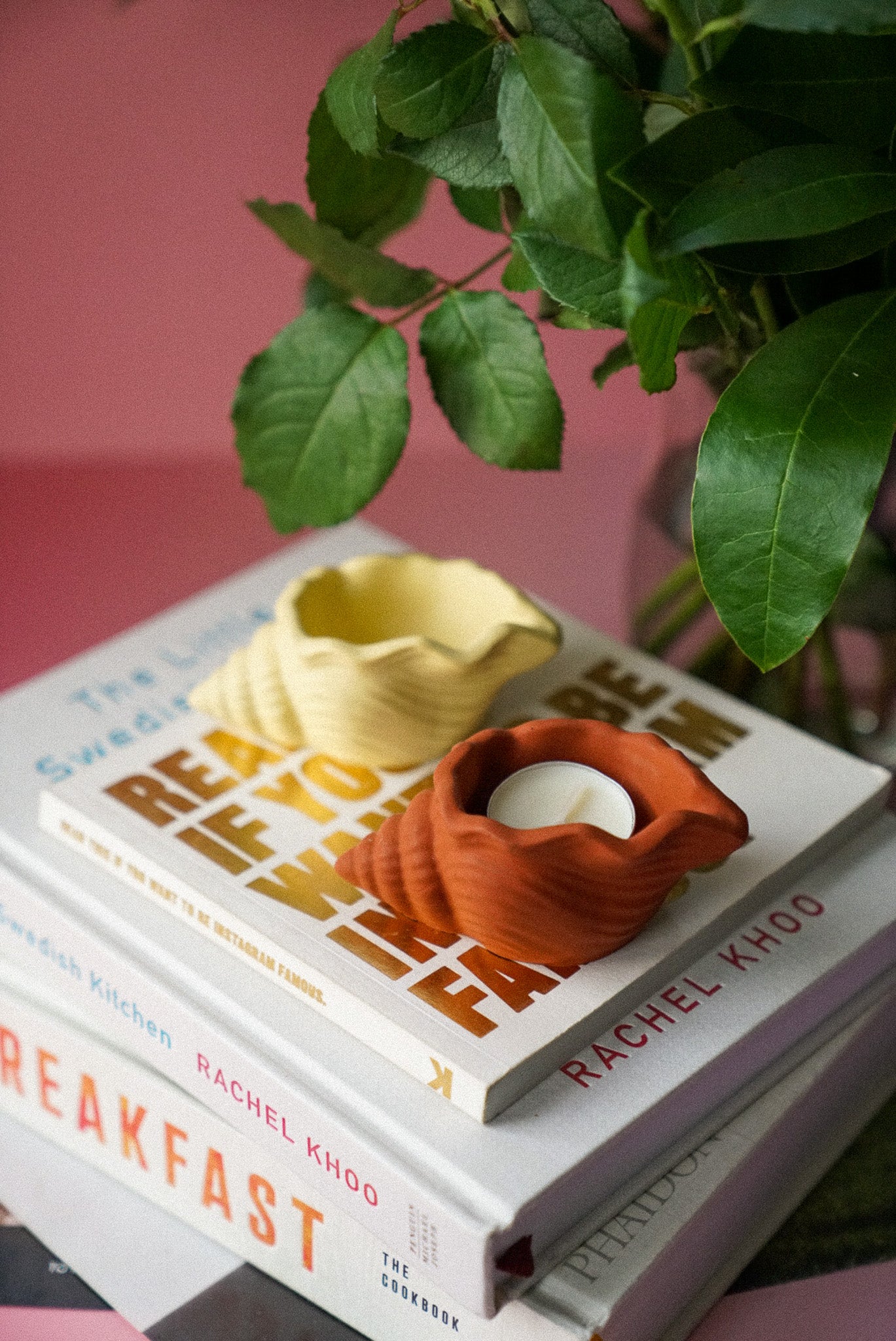 Shell Jewellery Holder