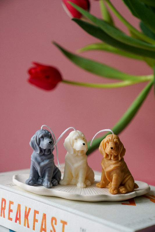 Basset Hound Candle