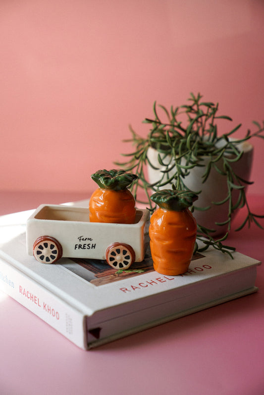 Cottagecore Carrot Salt and Pepper Shakers