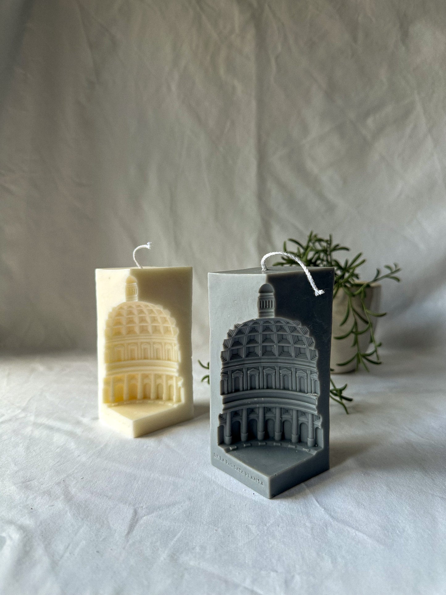 Ivory and Grey Rome Pantheon Capital Soy Candles in white backgroung and green plant on the back.