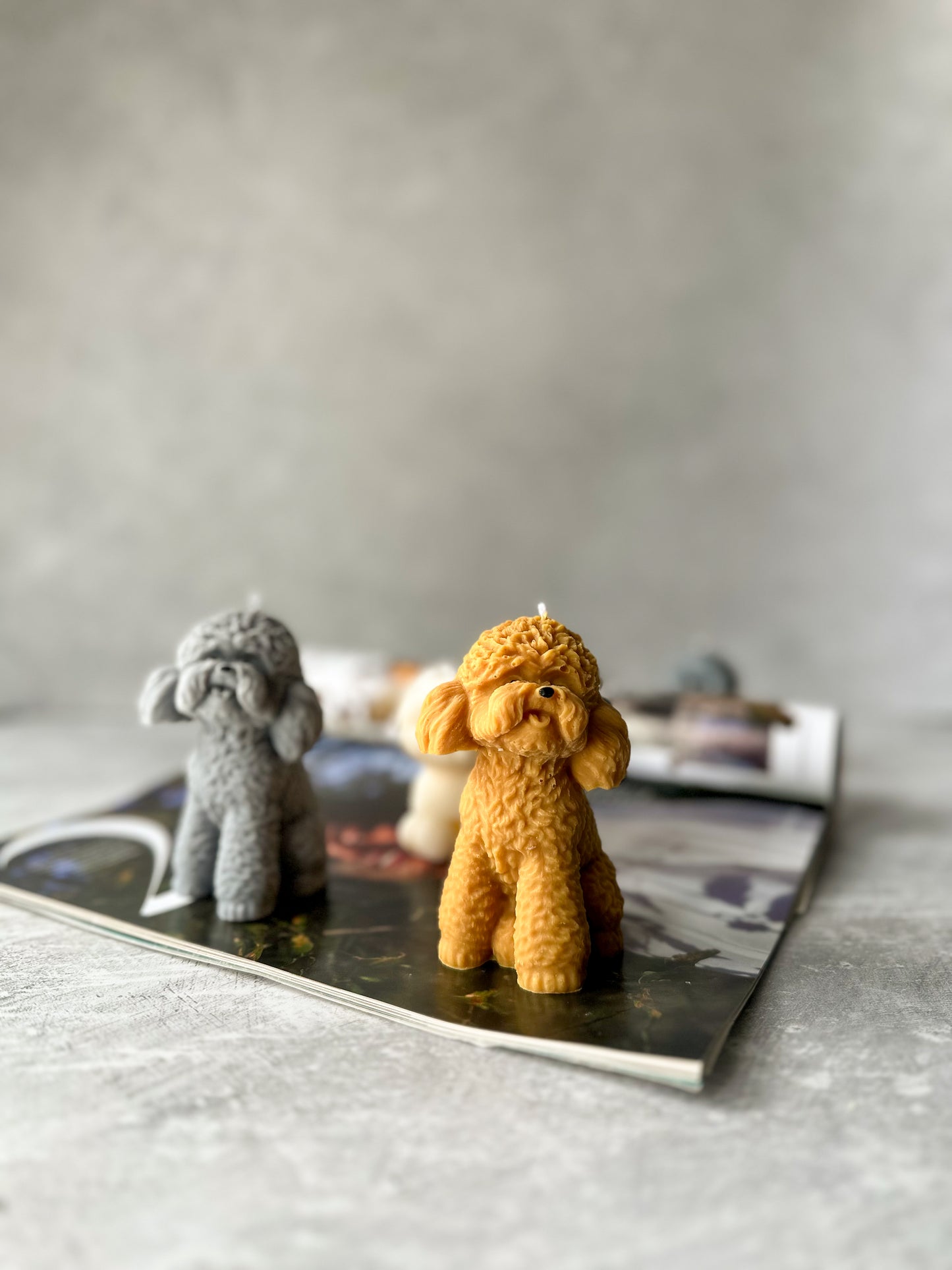 Grey and Brown Bichon Puppy Dog Candles on a magazine with grey background