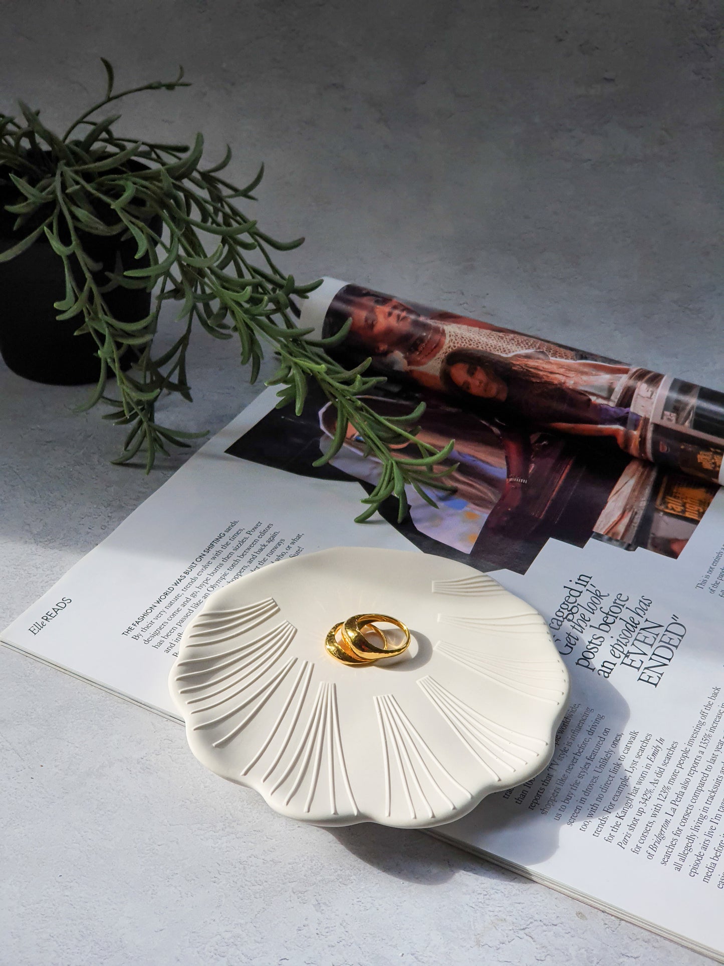Scollop Shell Trinket Dish