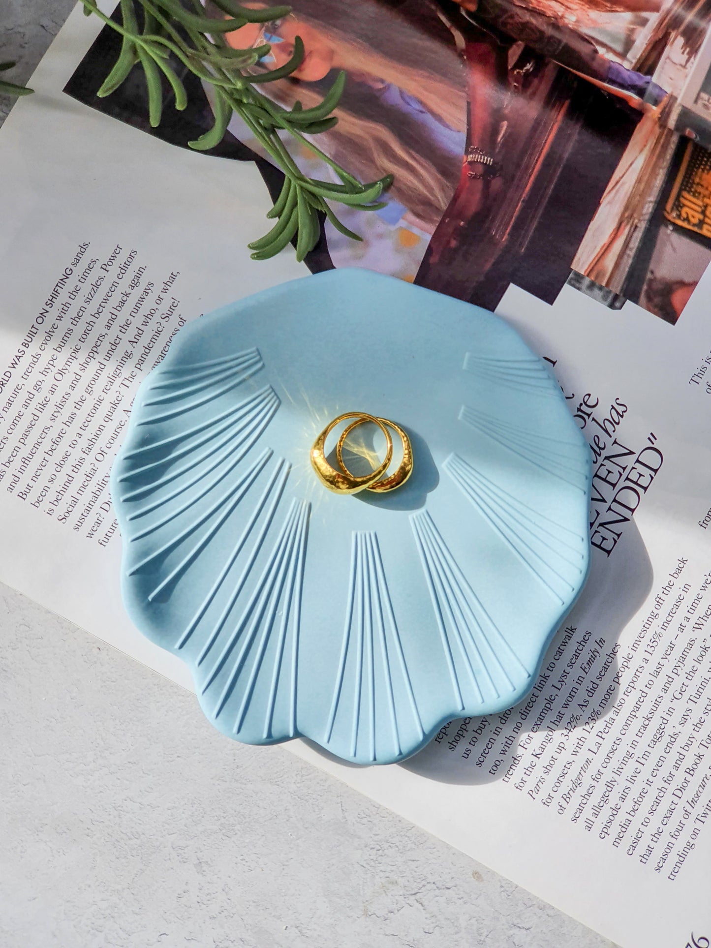 Scollop Shell Trinket Dish