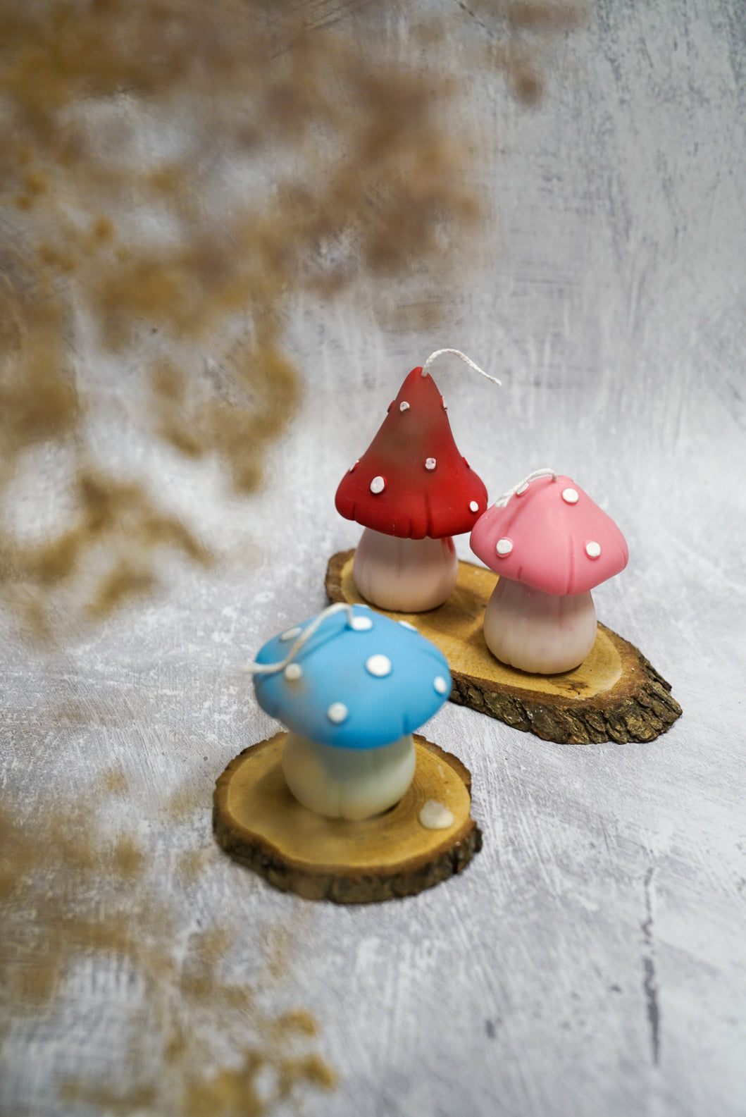Mushrooms Candles
