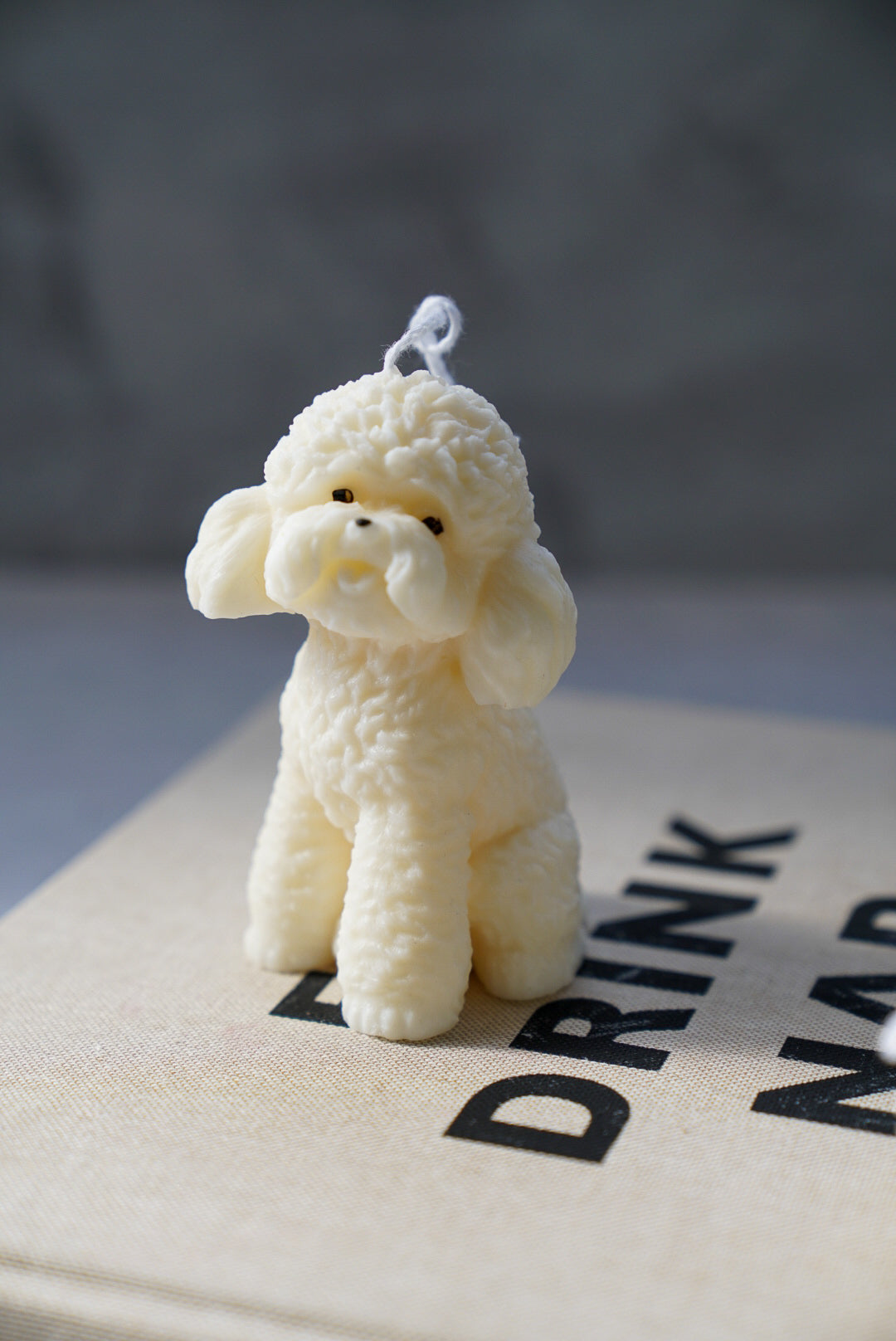 Bichon Puppy Dog Candle on a magazine