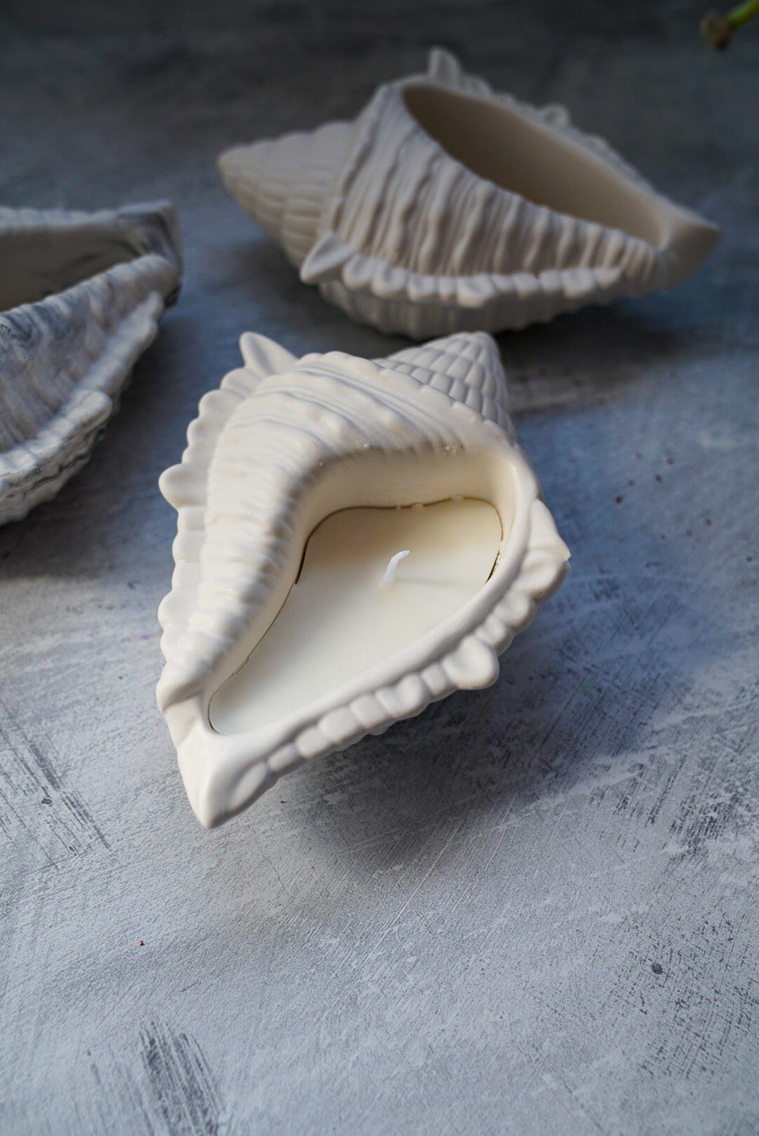 Shell Trinket Dish W/ Candle or without.