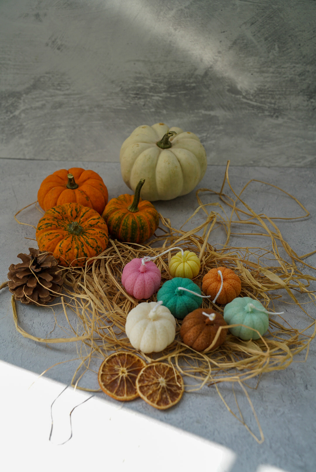 Colourful Soy Wax Pumpkin Candles with a real pumpkins on the back