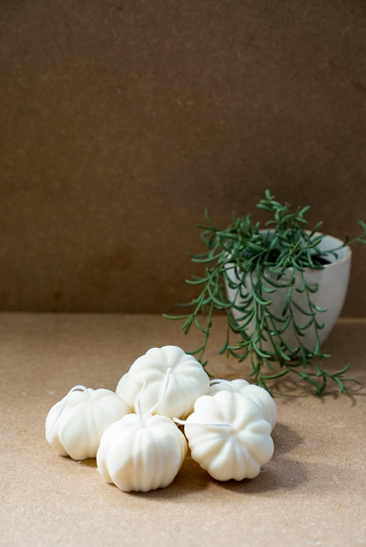 Ivory Soy Wax Pumpkin Candle with green plant on the background.