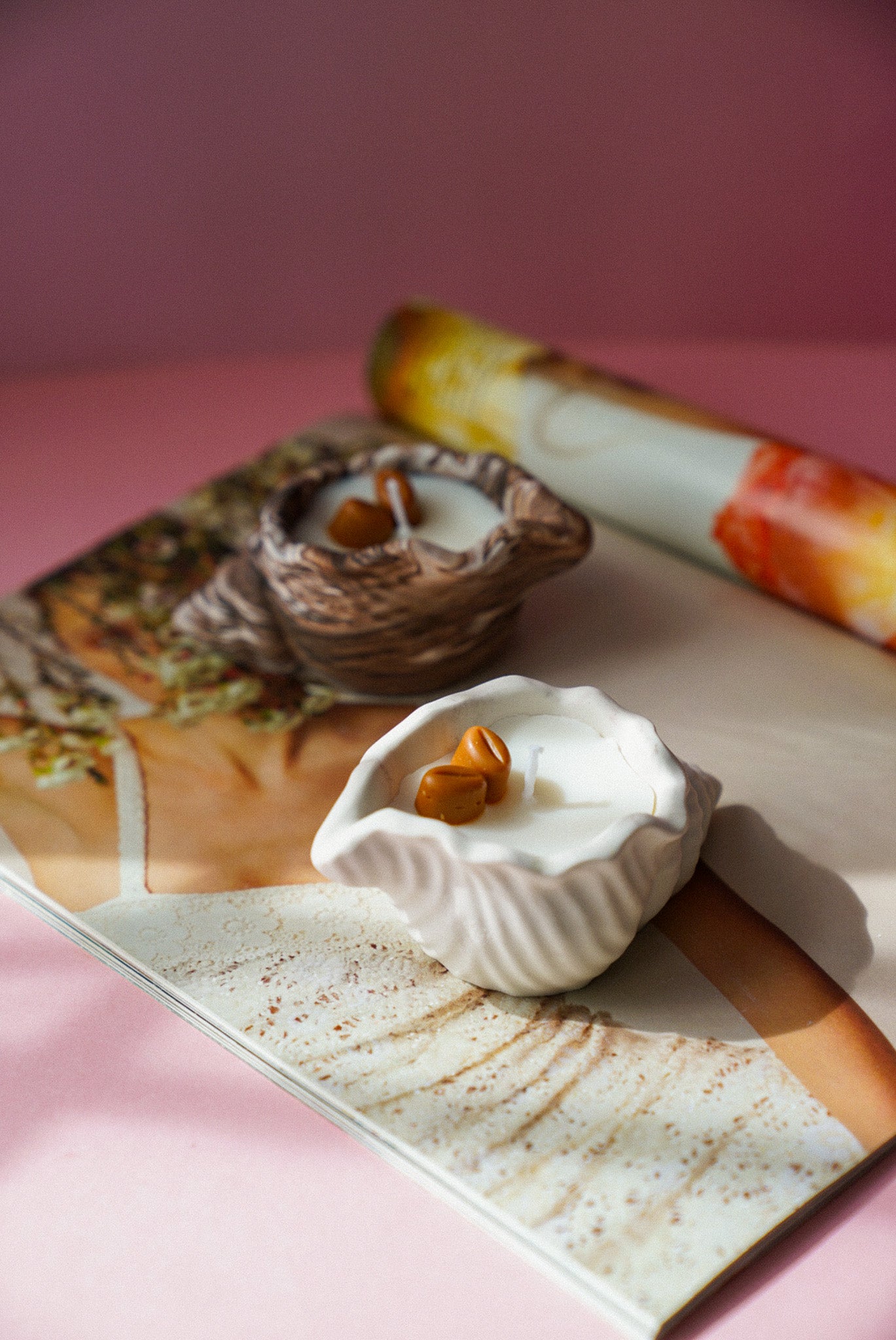 Coffee Bean Candle in a Shell