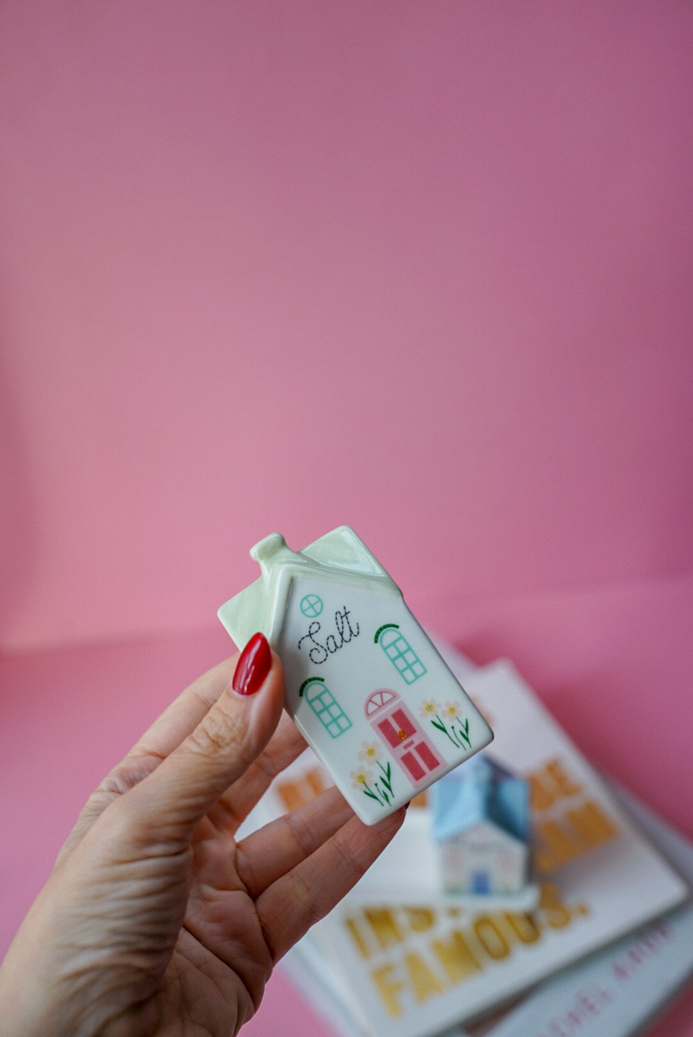 Pastel House Salt and Pepper Shakers