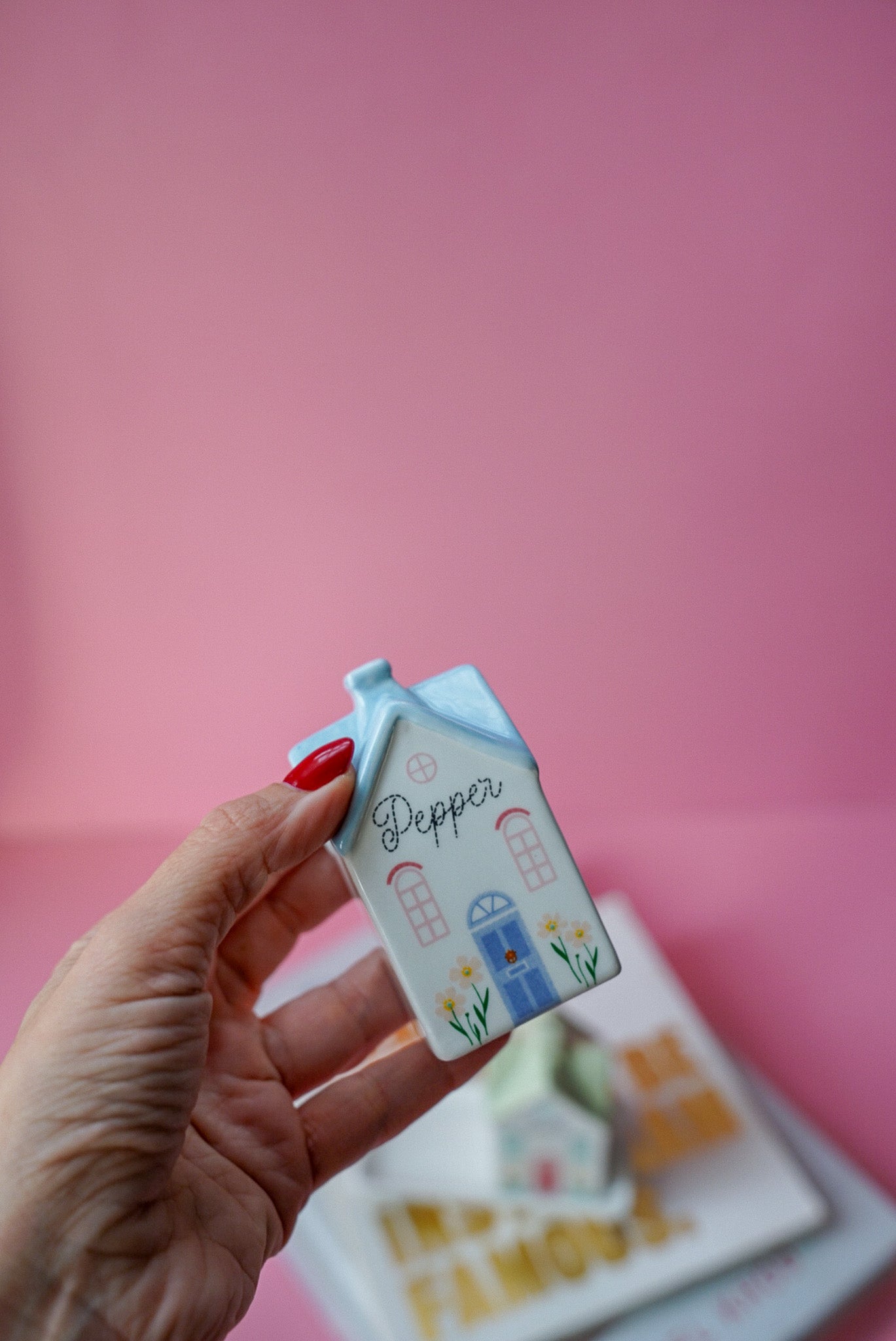 Pastel House Salt and Pepper Shakers