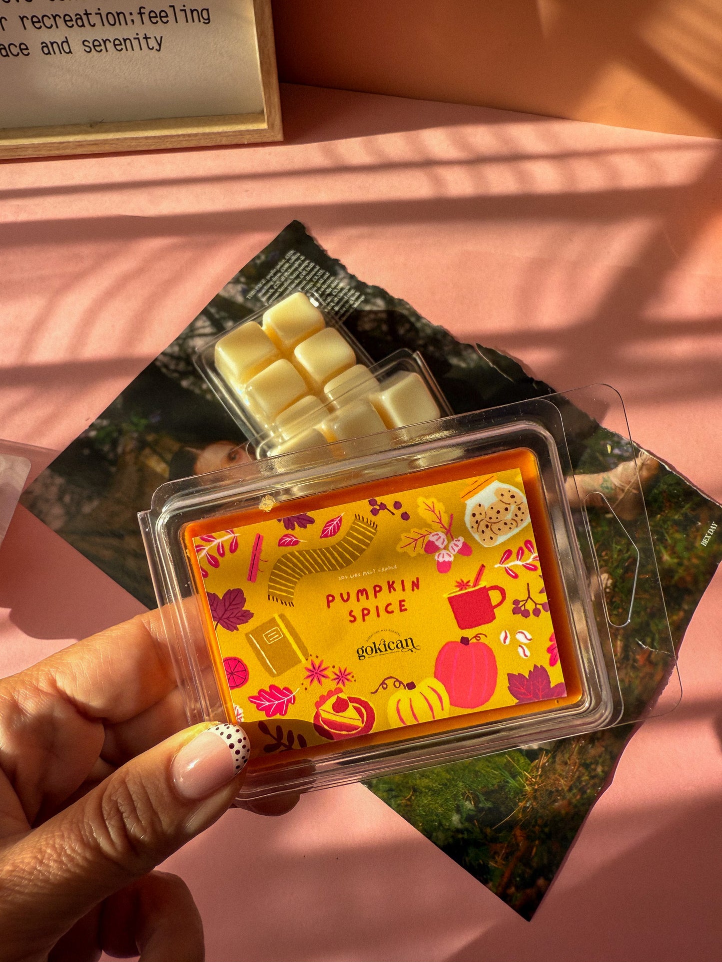 Pumpkin Spice Soy Wax Melts