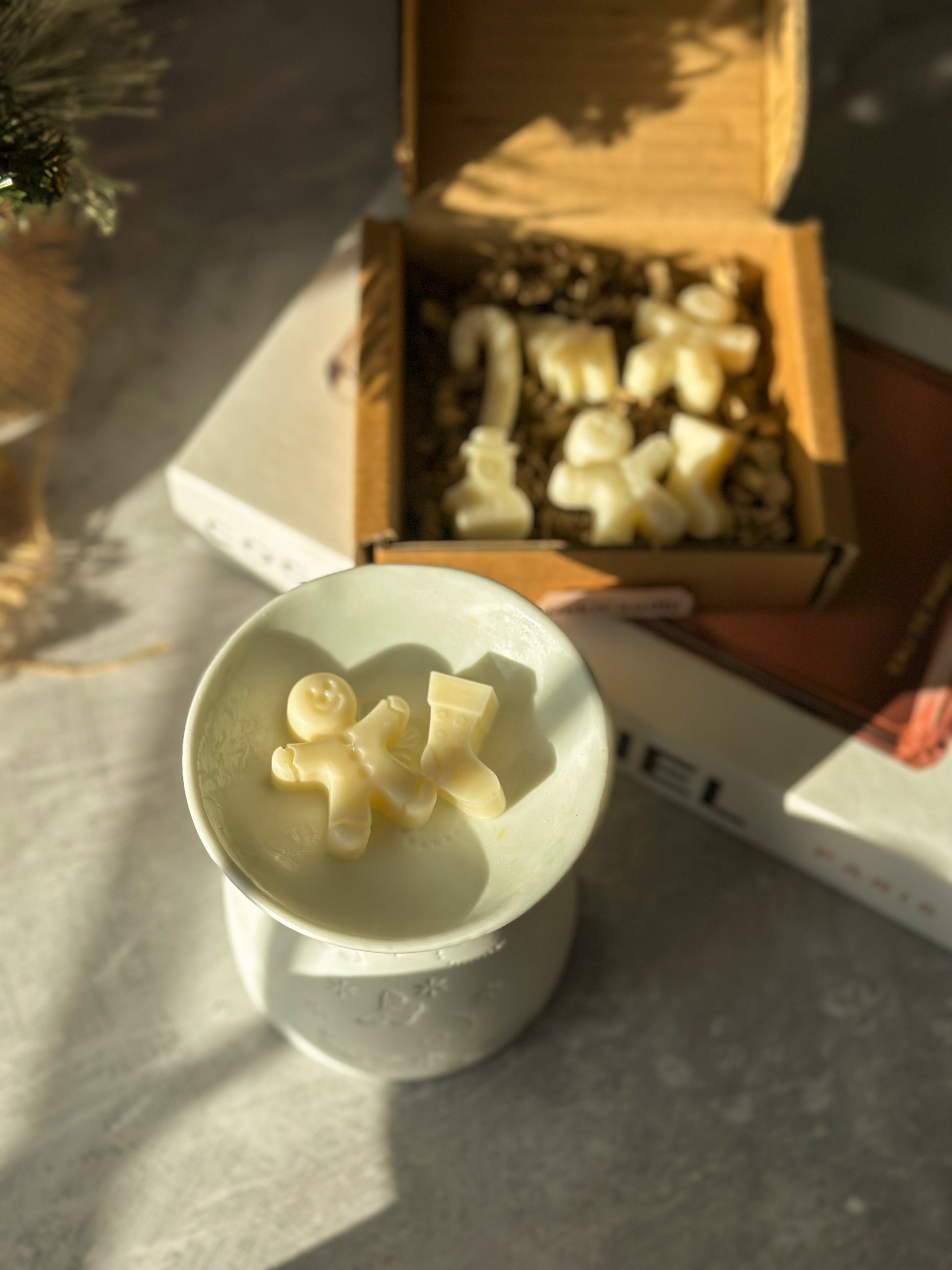 Christmas Spice Wax Melts with White Butterfly Wax Melter from the bird eye. 