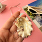 Sculptural Coastal Shell Necklace