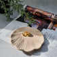 Scollop Shell Trinket Dish
