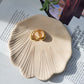 Scollop Shell Trinket Dish