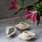 Shell Trinket Dish W/ Candle or without.