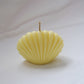 Seashell Candle