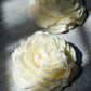 Peony Flower Candle